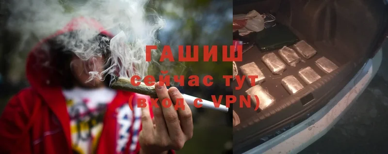 ГАШ Cannabis Малаховка