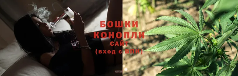 Канабис THC 21%  Малаховка 